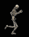 pic for skeleton